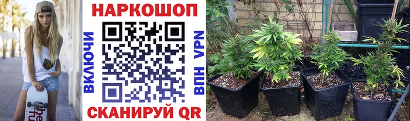 Виды наркотиков купить Истра Конопля Cocaine Амфетамин МЕТАДОН NBOMe ГАШИШ