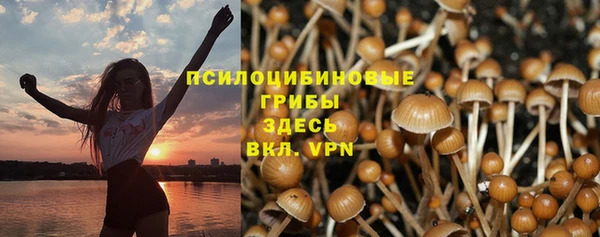 спайс Абдулино