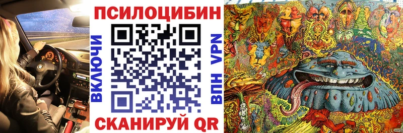 Псилоцибиновые грибы мицелий  Истра 